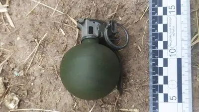 На Житомирщині у гаражі виявили гранату — чоловіка підозрюють у незаконному зберіганні зброї