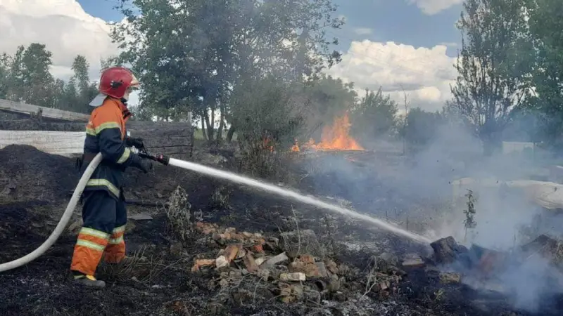 Пожежі сухої рослинності на Житомирщині: вогонь ледве не досяг житлових будинків