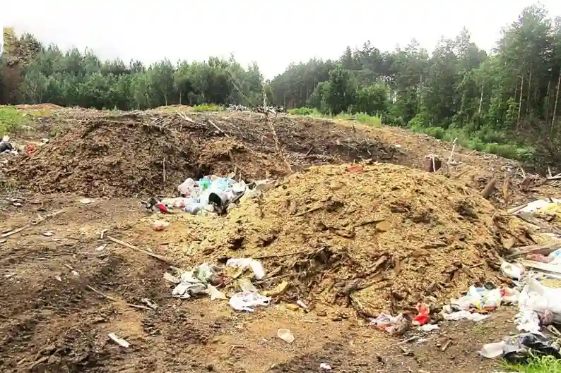 Понад мільйон гривень компенсації: лісгосп на Житомирщині сплатив штраф за забруднення землі тирсою