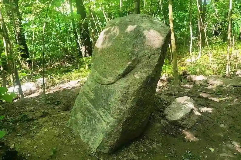 У лісі біля Мирополя знайшли кам’яну бабу: артефакт урятували від мародерів і передали до музею