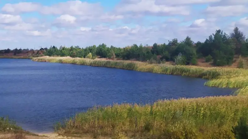 На Житомирщині у водоймі загинув 4-річний хлопчик: рятувальники закликають бути уважними